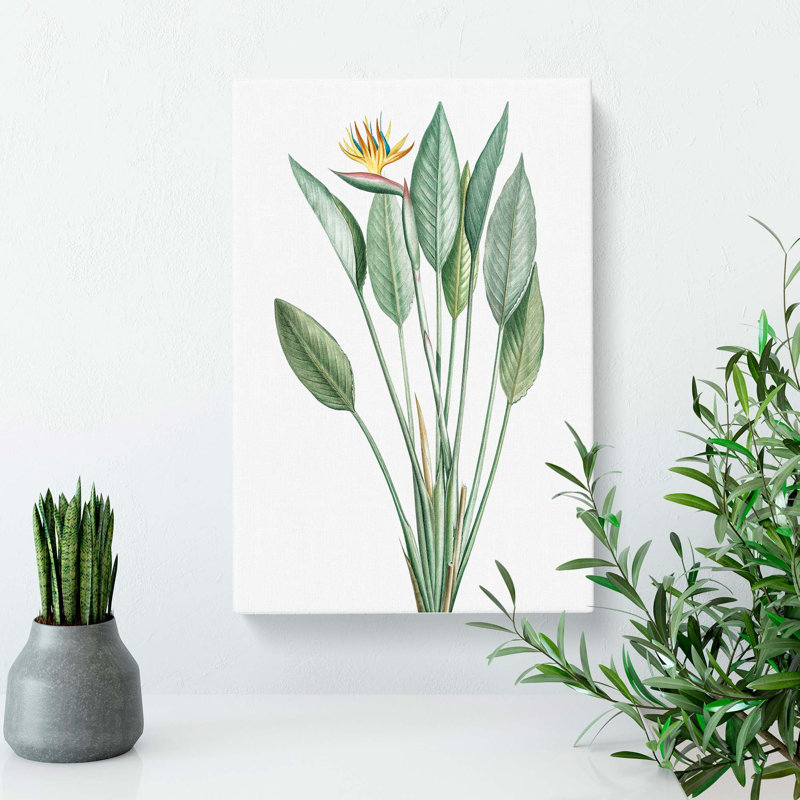 Bird of Paradise Flower by Pierre-Joseph Redoute - Wrapped Canvas, 50cm H x 35cm W x 3cm D