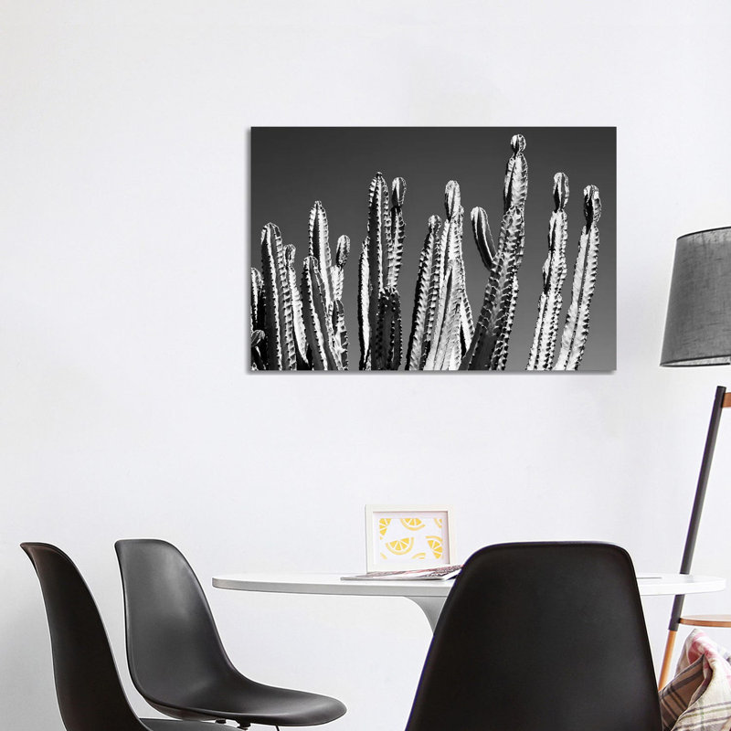 Black Arizona Series - Cactus Top by Philippe Hugonnard - Wrapped Canvas Print, 101.6 cm H x 66.04 cm W x 3.175 cm D