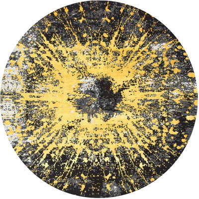 Indoor Rug