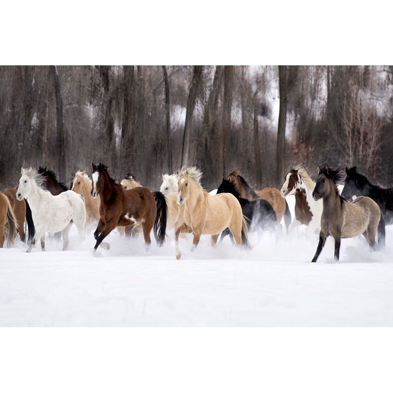 " Snow Run II " by PHBurchett, 8" H x 12" W x 1" D