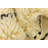 Julian Ivory Rug