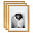Wickson 4 Piece  Beveled Plastic Single Picture Frame-1017833603