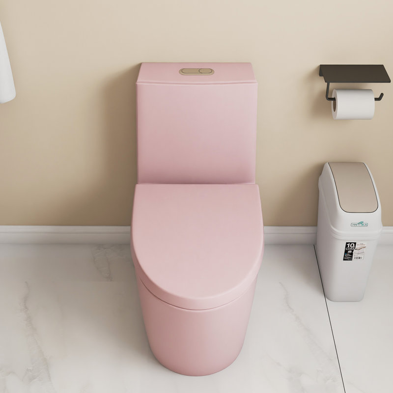One Piece Toilet, 1.1/1.60 GPF Dual-Flush，Water-Saving Elongated Comfort Height Floor Mounted, Soft Close 1000 Gram Map Flushing Score Toilet，Pink Rose 24T01-RS