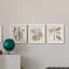 Ensemble de 3 cadres photo sur toile Midnight Tulip V-981462662-981462673