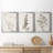 " Neutral Botanical Study IV " 3 - Pieces-1985761733-1985761729