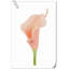 Arrangement Lillies-623490078-623490075
