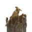 Bird and Tree Trunk Vase