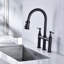 Bridge Kitchen Faucet With Pull-Down Sprayhead In Spot