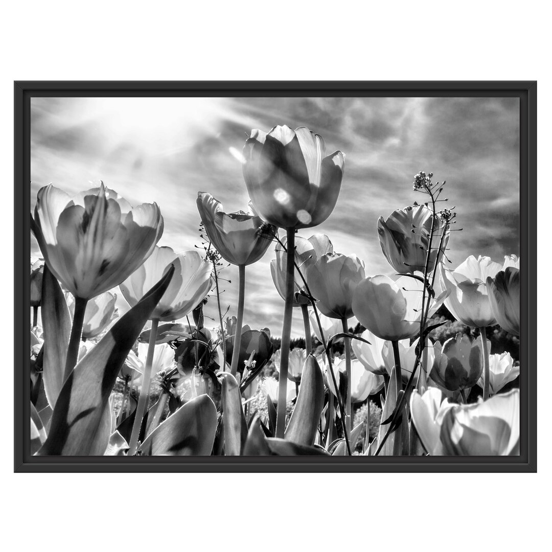 Gerahmtes Wandbild Blumenwiese