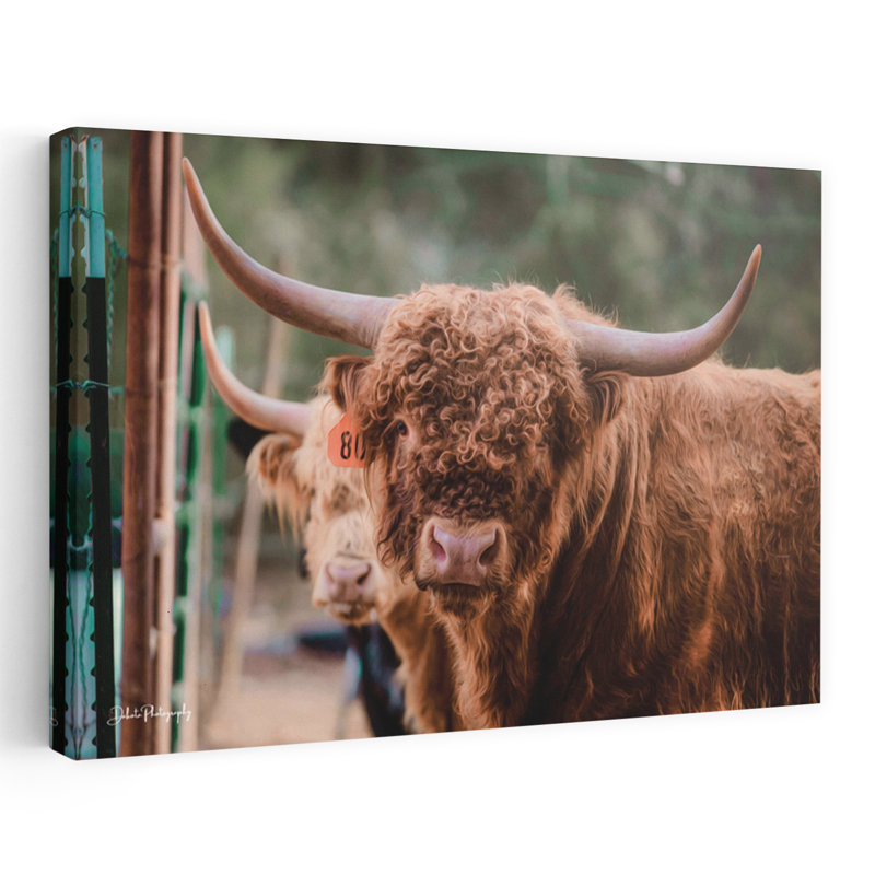«The Bull», art contemporain abstrait, H 16 po x l 24 po