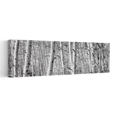 Aspen Trees In A Forest, Rock Creek Lake, California, Usa Tranquil Abstract Contemporary Forest Nature Wall Art