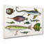 Various Fishes XXXII by Oliver Goldsmith - Wrapped Canvas-55370162
