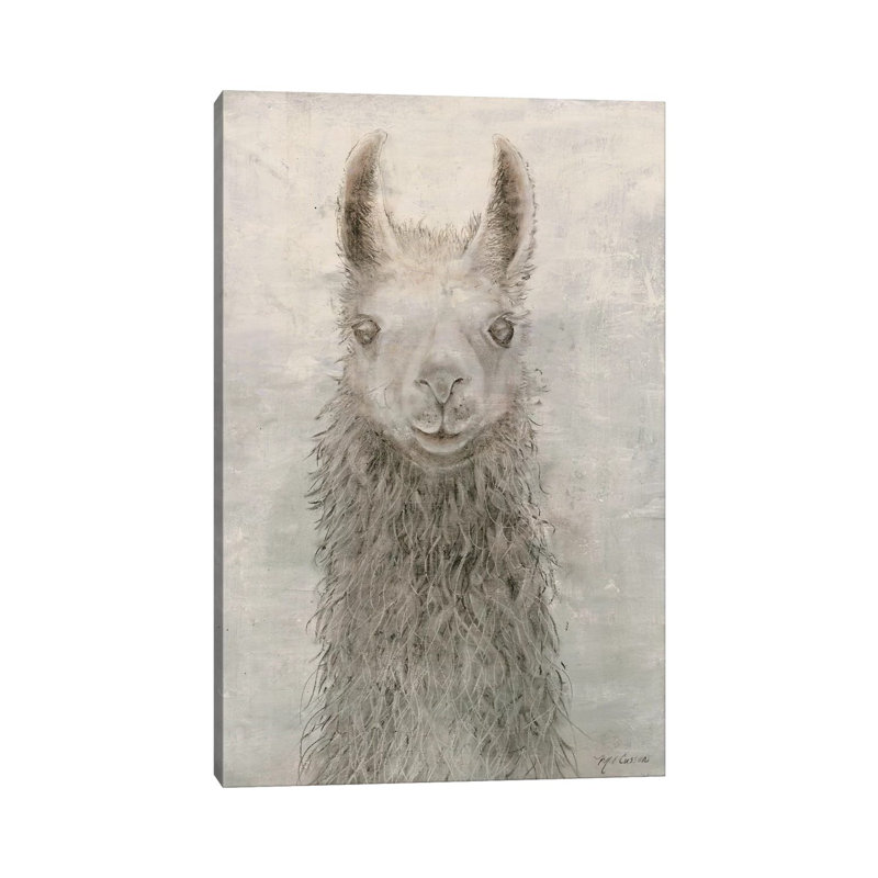 Llama Portrait by Marie Elaine Cusson - Wrapped Canvas Print, 66.04 cm H x 45.72 cm W