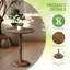 Table d'appoint ronde Edwards