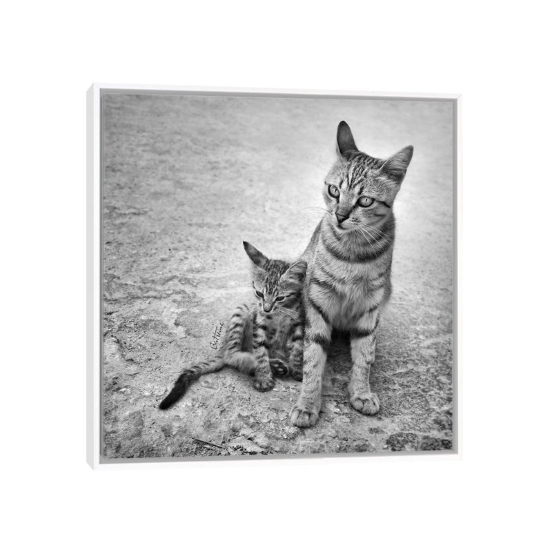 Never Leave Me Alone by Ben Heine - Print on Canvas, White Framed, 66.04 cm H x 66.04 cm W