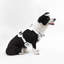 Harnais pour animal de compagnie Arlo-112400927-128618013