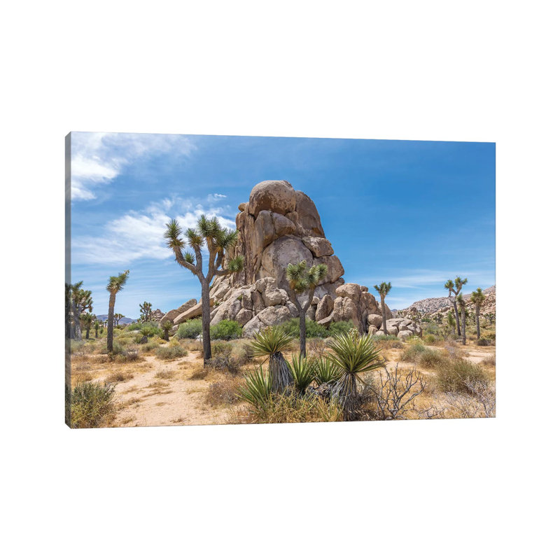 Roadside Rock, Joshua Tree National Park by Melanie Viola - Wrapped Canvas Print, 20.32 cm H x 30.48 cm W