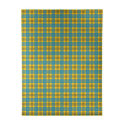 Plaid Indoor Rug