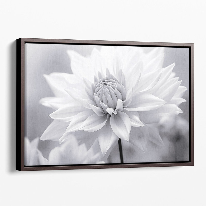 Douceur en monochrome 2, impression d'art mural, Papier non encadré, H 32 po x l 48 po x P 0,02 po