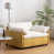 Cream/Yellow