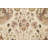 One-of-a-Kind 9'10" X 14'4" Wool Area Rug in Ivory