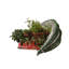 Mini hotte Horti, 180 degrés