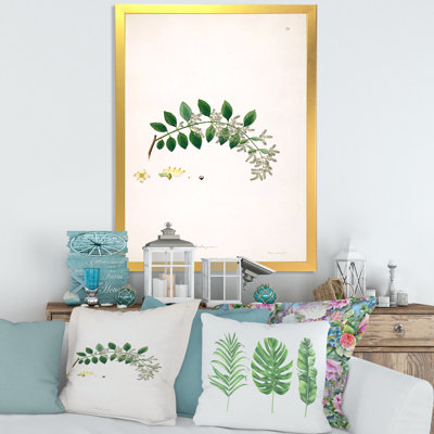 Vintage Plant Life XVIII - peinture sur toile