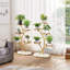 Étagère en bois 5 étages-1061595756