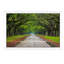 Oak Avenue, Wormsloe Plantation, Savannah, Georgia, USA 1 Piece Wall Art on Canvas-1955797633-1955797656