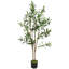120cm Plant