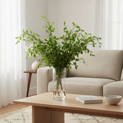 Fausse plante lierre moderne biologique Milan
