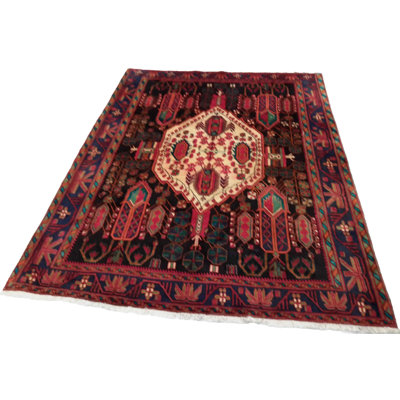 Oriental Area Rug in Rust