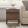 Aadam Modern End Table With 2 Drawers