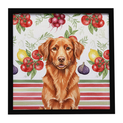 «Copper Duck Tolling Retriever Légumes», impression sur métal encadrée