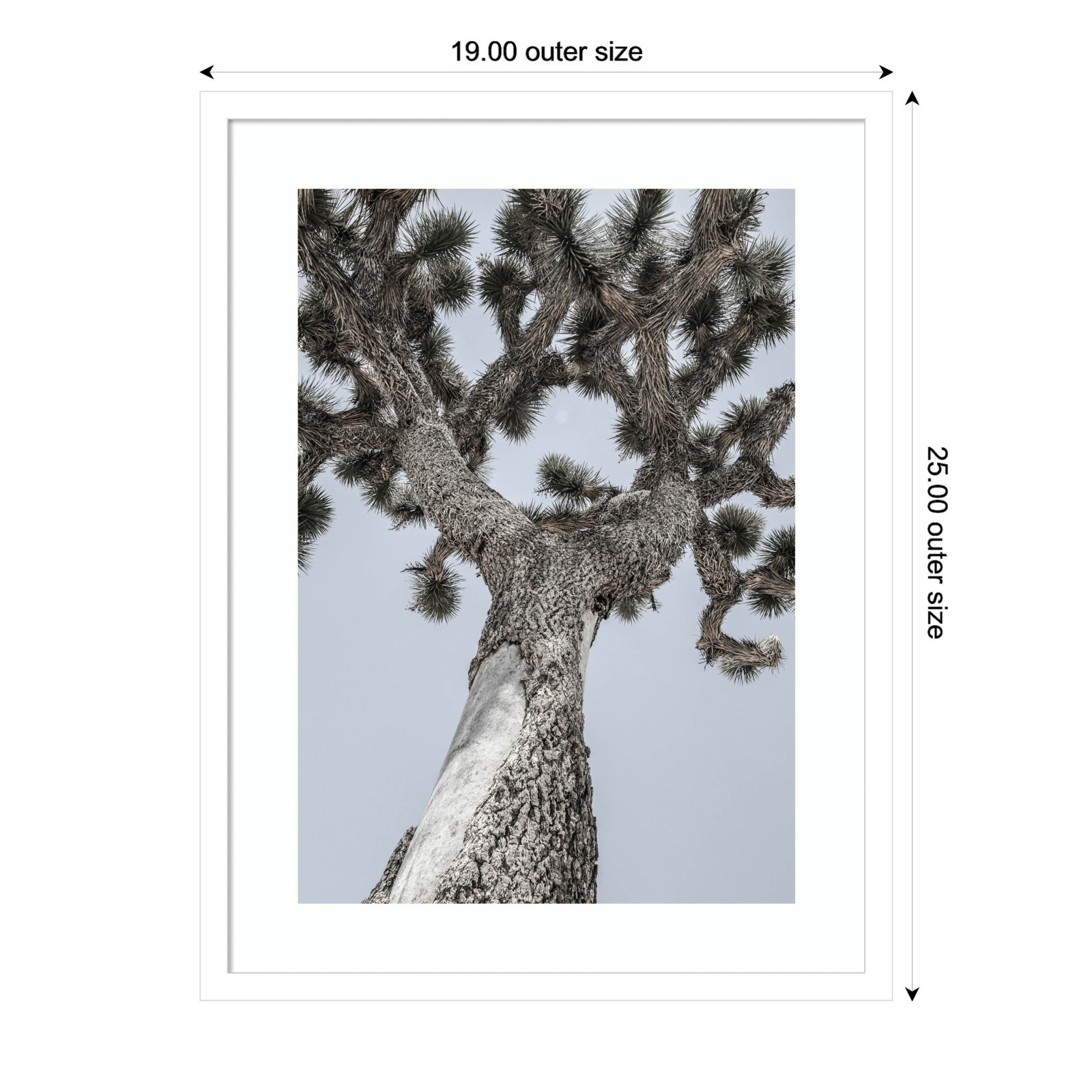 Joshua by Shot by Clint Wood Framed Wall Art Print, White , 25" H x 19" W