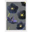 Black Hellebore Print-1201540882-1201540876