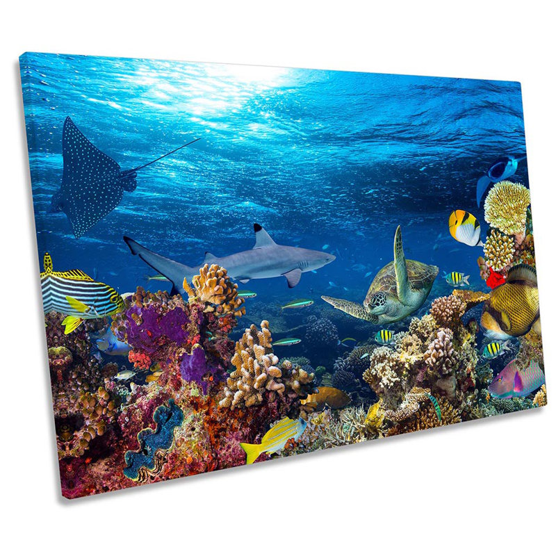 Underwater Coral Reef Fish Framed - Wrapped Canvas Print, 30.5cm H x 45.7cm W x 2cm D