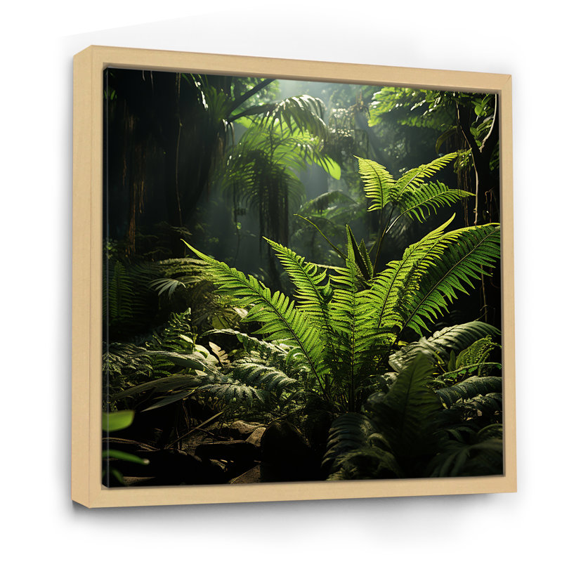 Jungle Ferns Delight sur impression sur toile, Cadre naturel flottant, H 24 po x l 24 po x P 1 po