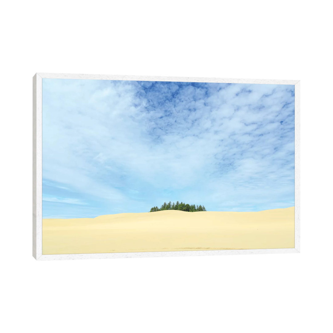 Oregon Dunes National Recreation Area, Oregon Coast Near Reedsport. von Stuart Westmorland - Gallery-Wrapped Canvas Gicl...