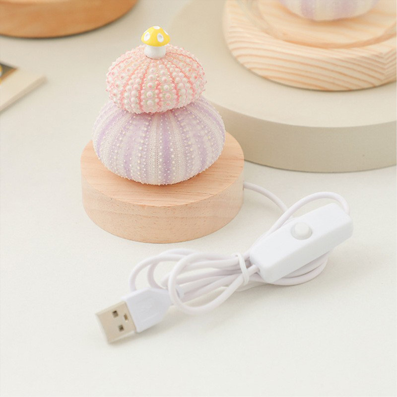 Lampe de table coquille d'oursin de mer avec base en bois et chevet en bois, décoration océanique unique pour chambre d'enfant