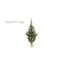 Lighted Artificial Fir Christmas Tree-1321327273