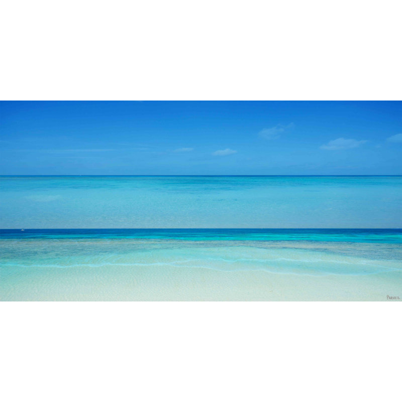 Parvez Taj - Wrapped Canvas Print, 45cm H x 91cm W x 3.8cm D