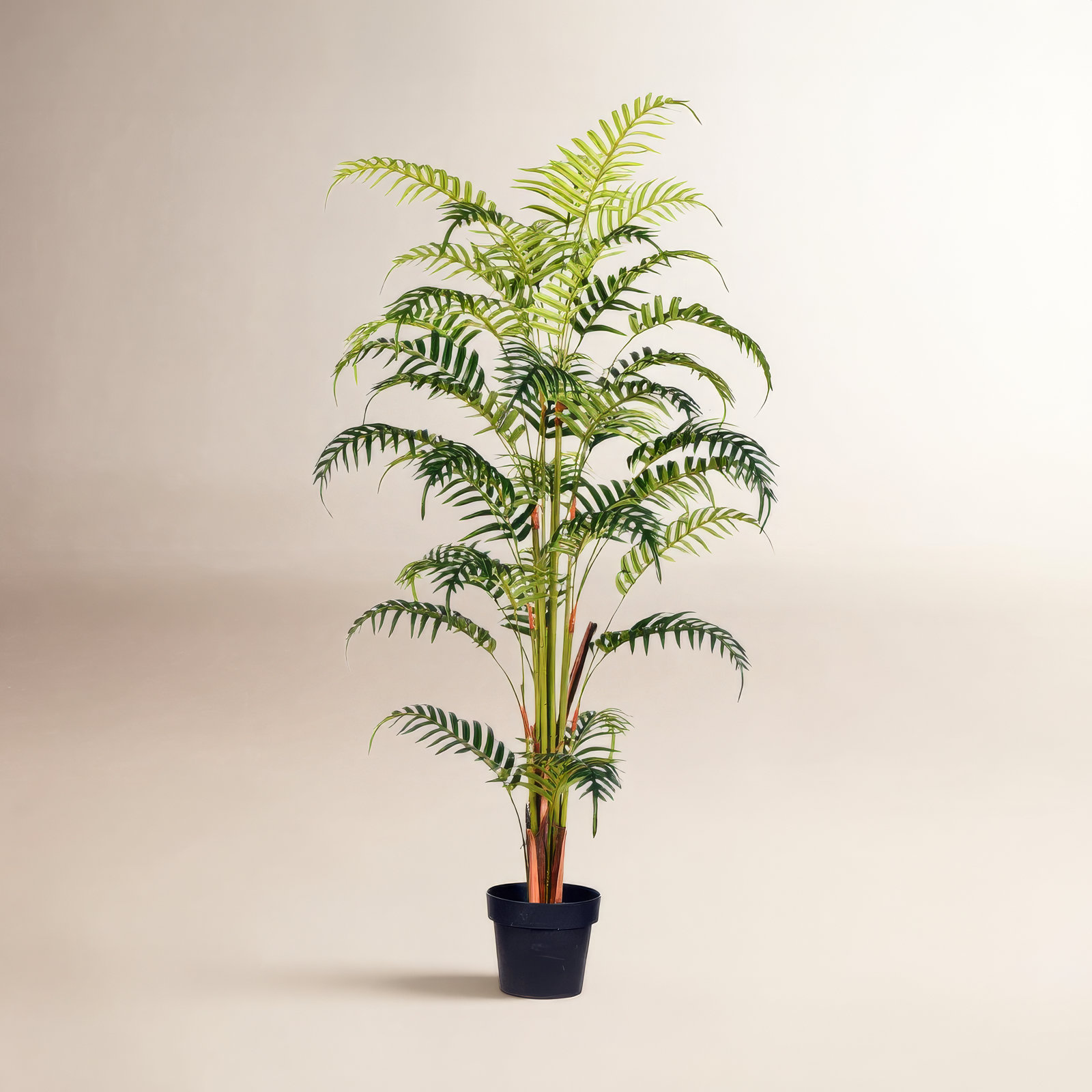 Faux Palm Plant in Pot, 59" H x 18" W x 18" D