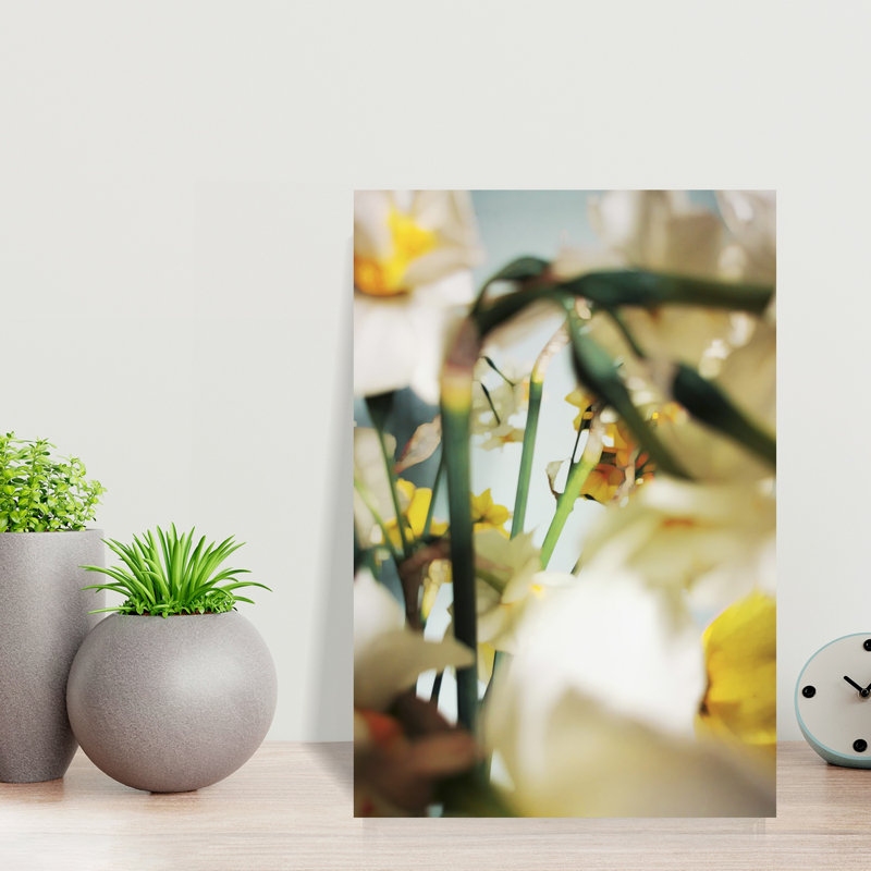 Contemporary Art Elegant Contemporary Daffodil Nature Flower Wall Art by Angelo Cerantola - Wrapped Canvas Print