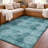 Premium Machine Washable Dream Shag ADS557 Medallions Rug-956475503-956475515