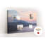 Dyami Cork Corkboard / Bulletin Board