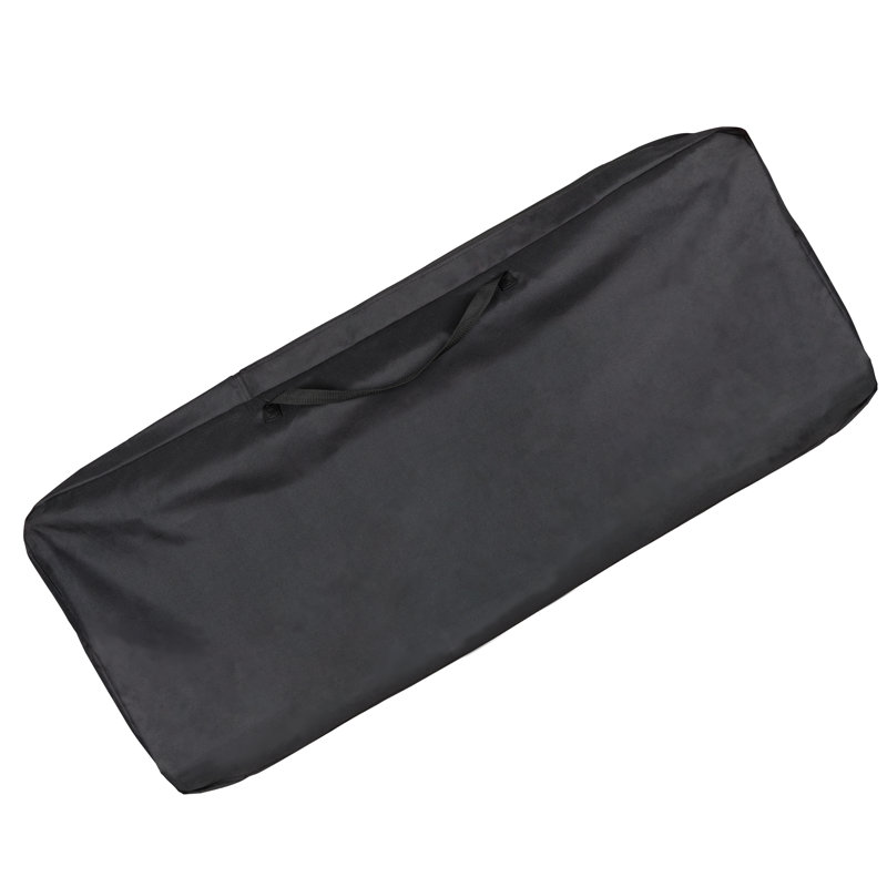 PetSafe Happy Ride Ramp Carry Case