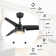 Granogue 52'' Ceiling Fan with LED Lights