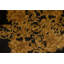 Hand-Knotted High-Quality Black Area Rug