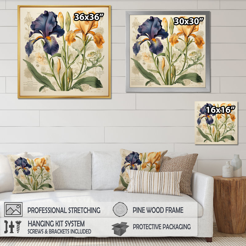 Iris bleu et doré, illustration rétro sur toile, Cadre flottant doré, H 30 po x l 30 po x P 1 po